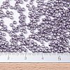 MIYUKI Round Rocailles Beads X-SEED-G007-RR1062-4