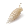 Natural Spiral Shell Pendants PALLOY-JF02951-4