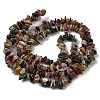 Natural Multicolor Tourmaline Chips Beads Strands F082-01-3