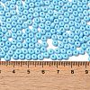 Baking Paint Glass Seed Beads SEED-B001-02A-12-4