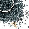 Baking Paint Glass Seed Beads SEED-L011-09A-23-1