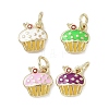 Brass Enamel Charms KK-K368-17G-1