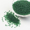 12/0 Grade A Transparent Colours Round Glass Seed Beads X-SEED-A022-F12-22B-1