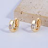 Elegant Oval Brass Hoop Earrings PF7010-2