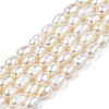 Natural Cultured Freshwater Pearl Beads Strands PEAR-N012-04B-3