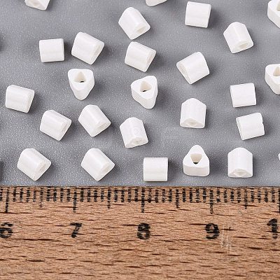 FGB Baking Paint Glass Seed Beads SEED-Q040-09A-01-1