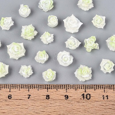 Luminous Flower Resin Cabochons CRES-T025-10G-1