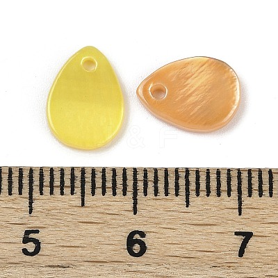 Spray Painted Natural Freshwater Shell Teardrop Charms SHEL-K006-47-1