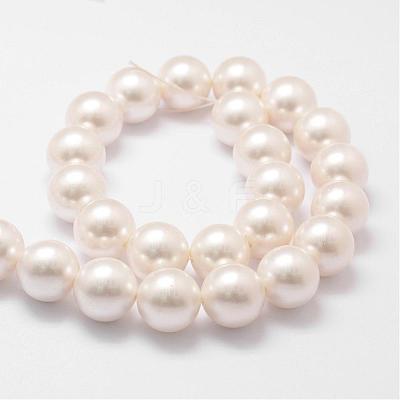 Shell Pearl Bead Strands BSHE-L026-03-16mm-1