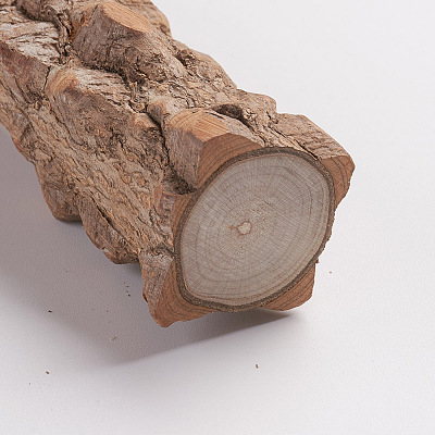 Wood Perch Bird Platform AJEW-WH0113-61A-1
