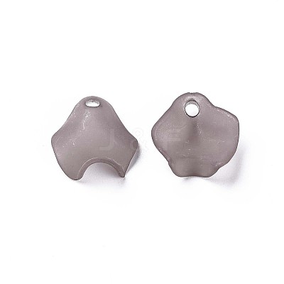 Transparent Acrylic Beads X-MACR-S373-106-D02-1