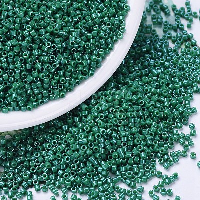 MIYUKI Delica Beads SEED-MY11-DB0656-1