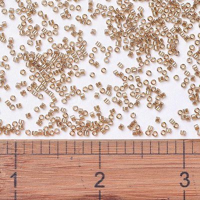 MIYUKI Delica Beads SEED-X0054-DB1221-1
