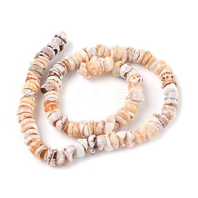 Natural Shell Beads Strands SSHEL-F304-01-1