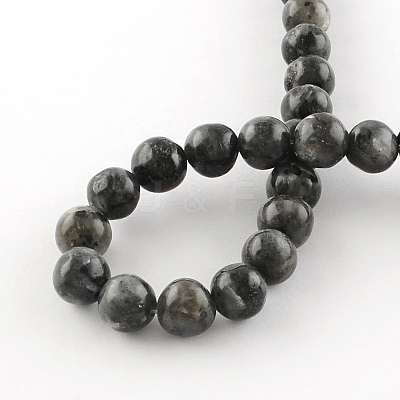 Natural Larvikite Round Beads Strands LS-G-R342-10mm-09-1