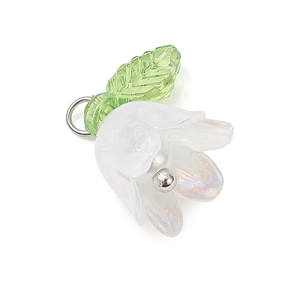 5Pcs Transparent Acrylic Pendants PALLOY-JF04703-02-1