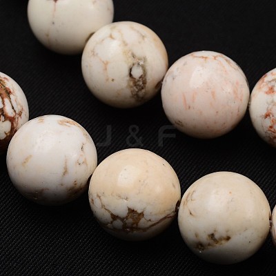 Natural Magnesite Beads Strands TURQ-P027-23-8mm-1