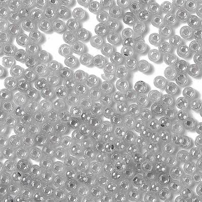 Glass Seed Beads X1-SEED-H002-E-A1420-1
