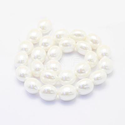 Shell Pearl Beads Strands BSHE-P024-15-1