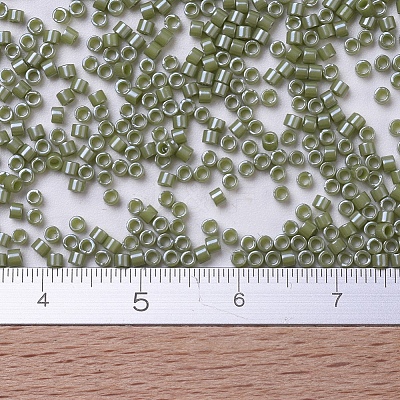 MIYUKI Delica Beads SEED-J020-DB0263-1