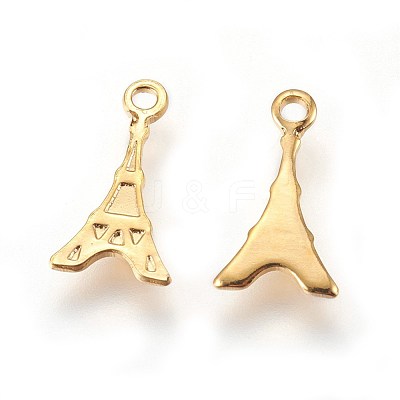 304 Stainless Steel Charms STAS-E447-15G-1