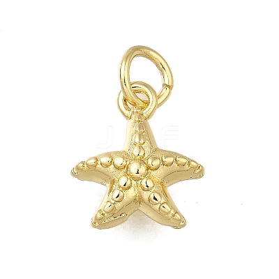 Brass Charms ZIRC-I070-085G-1