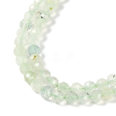 Natural Prehnite Beads Strands G-G139-A05-03-1