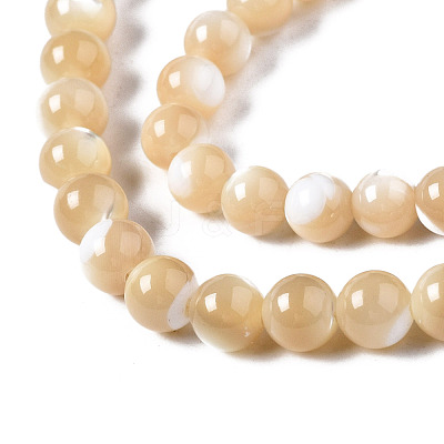 Natural Trochid Shell/Trochus Shell Beads Strands SSHEL-S266-023B-02-1