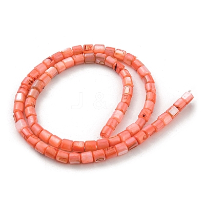 Natural Freshwater Shell Beads Strands SHEL-F008-04F-1