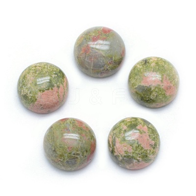 Natural Unakite Cabochons G-P393-R31-10mm-1