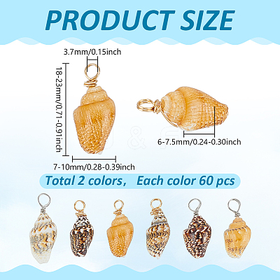 120Pcs 2 Colors Natural Shell Pendants FIND-ME0002-50-1