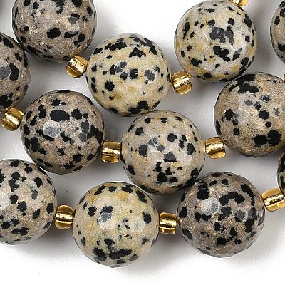 Natural Dalmatian Jasper Beads Strands G-C249-A02-16mm-1