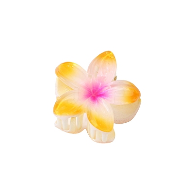 Plastic Claw Hair Clips PW-WG07B2B-10-1