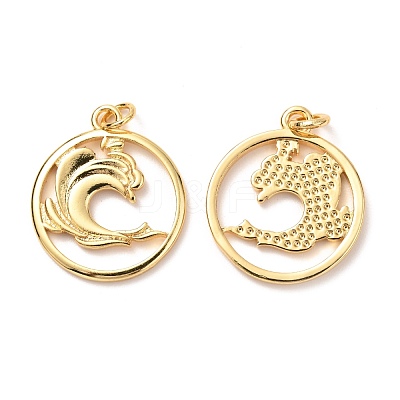 Brass Pendants KK-G399-13-1