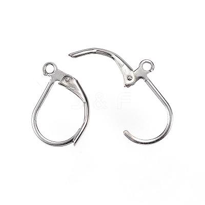 Tarnish Resistant 304 Stainless Steel Leverback Earring Findings STAS-D448-042P-1
