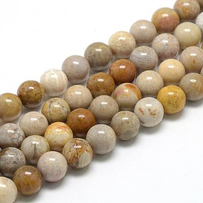Natural Fossil Coral Beads Strands G-R446-8mm-28-1