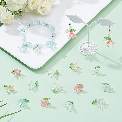 Transparent Acrylic Pendants FIND-SC0009-19-1