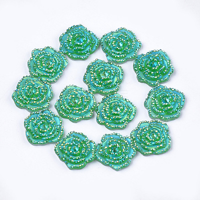 Resin Rhinestone Cabochons CRES-T012-02F-1