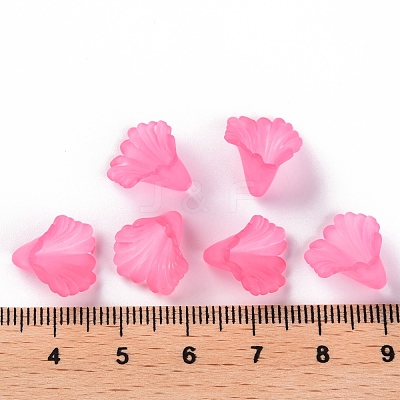 Frosted Acrylic Bead Caps MACR-S371-10A-704-1