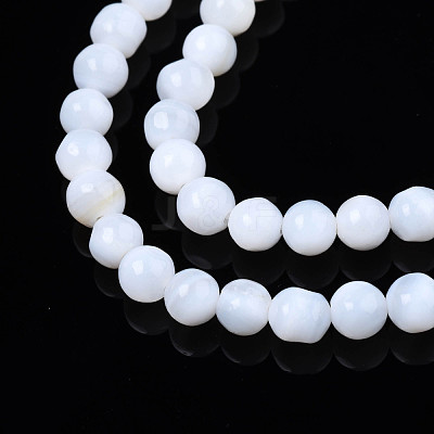 Natural Freshwater Shell Beads Strands SHEL-N003-24-A01-1