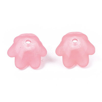 Transparent Acrylic Bead Caps FACR-N005-002G-1