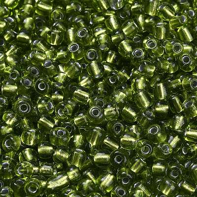 6/0 Round Silver Lined Round Hole Glass Seed Beads X-SEED-A005-4mm-24-1