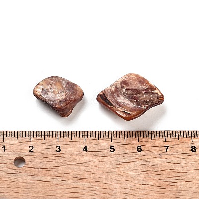 Natural Freshwater Shell Beads BSHE-S028-3-1