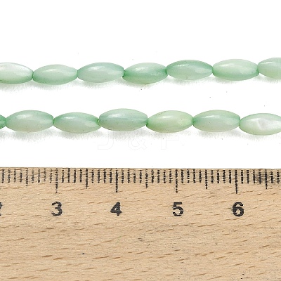 Natural Freshwater Shell Beads Strands SHEL-C010-01A-1