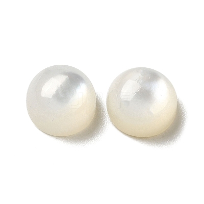Natural White Shell Cabochons SSHEL-M022-01A-1