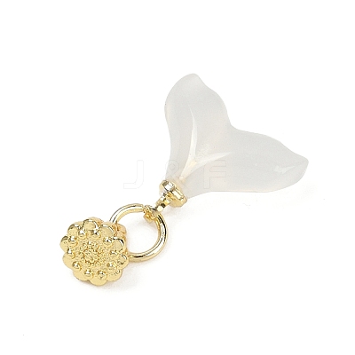 Natural White Agate Charms LS-KK-Z094-04G-03-1