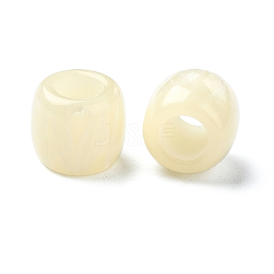 Resin European Beads RESI-U008-02G-1