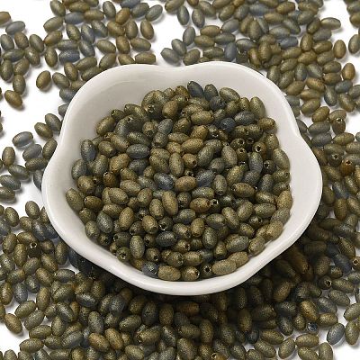 Transparent Colours Glass Seed Beads SEED-F006-03A-05-1