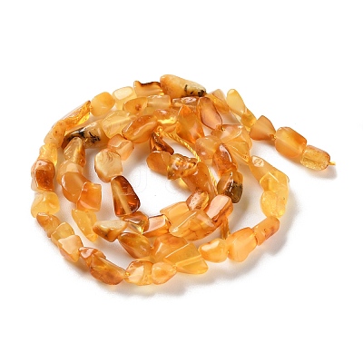 Natural Amber Beads Strands G-P497-01C-04-1