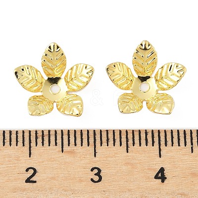 Brass Bead Caps KK-V015-34G-01-1
